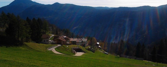 Trentino, foto scattata da Matteo Pisanu